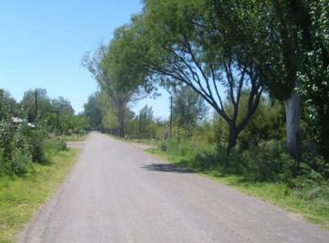 Campo · 6ha · Oportunidad de Inversión en Mendoza, Gral Alvear