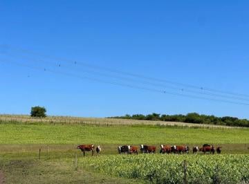 Campo · 10ha · Venta Chacra 10 Ha, a m. de Ruta 90