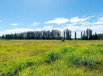 Terreno · 300m² · Terreno en La Rufina II
