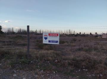 Terreno · 15000m² · Alquiler Terreno 1,5 Has en Los Corralitos