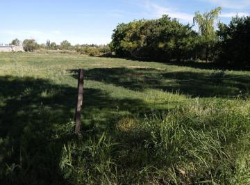 Terreno · 3893m² · Lote / Terreno en Rama Caída, San Rafael - Mendoza - Ideal Cabañas