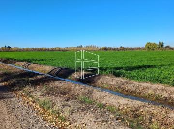 Campo · 500000ha · Venta - Chacra en Producción de Alfalfa en Mainque - R031