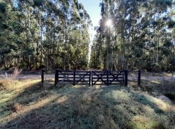 Campo · 1m² · 1 Ambiente · Vendo Gran Parcela en Exclusivo Campo Privado!