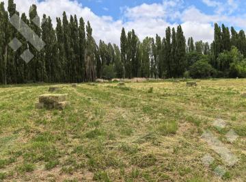 Campo · 20000m² · 4 Ambientes · Chacra en Picun Leufu