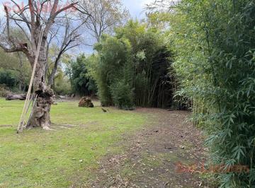Terreno · 1343m² · Terreno en Venta en Islas del Delta de Tigre