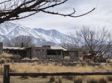 Terreno · 20000m² · Terreno en Venta en Tupungato 20.000 m² Al Pie de La Cordillera
