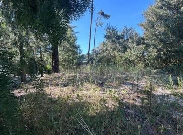Terreno · 600m² · Venta de Terreno en Pinar Norte 600 m²