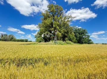 Campo · 35m² · Terreno Campo en Venta en Suipacha, Resto de La Provincia, Buenos Aires