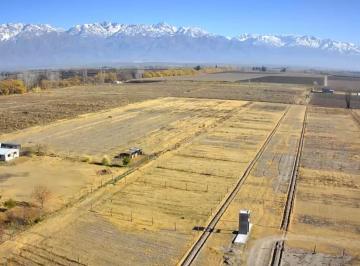 Terreno , La Consulta · Oportunidad de Inversión con Gran Proyección en Valle de Uco | La Mérlina