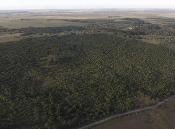 Terreno en Venta · Campo 52 Ha con Arroyo El Sauce | Naturaleza + Producción