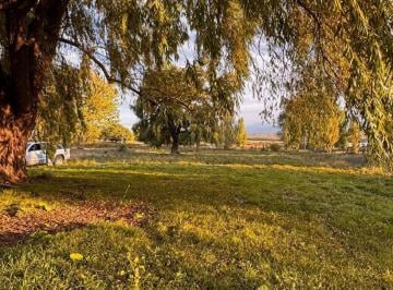 Bodega-Galpón · 200m² · 1 Ambiente · Galpón en Alquiler Comercial y Gastronómico – Ruta 89, La Carrera