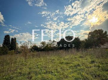 RFP-RFP-1848_2 · Lote. | Eva Peron Al 18.000