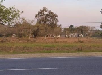 imagen1 · Terreno de Buenas Dimensiones Sobre Ruta 1