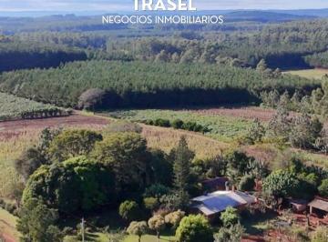Campo de 3 ambientes, Garuhapé · Chacra en Venta – Colonia Garuhapé, Misiones
