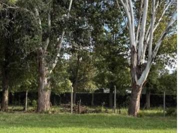 Terreno · 400m² · Terreno - La Reserva