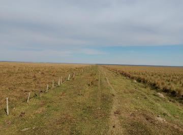 Campo · 17000000ha · Venta de Campo en Corrientes