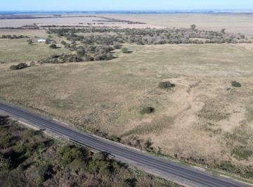 Campo · 181m² · Campo Mixto con Casa y Galpon, 78,5 Ha Sobre Ruta