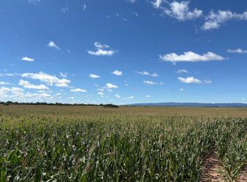 Terreno , San Miguel de Tucumán · Importante Empresa Busca Arrendamiento de Campo en Tucumán