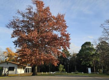 Terreno · 311m² · Terreno en Venta en Esquina en Barrio Semicerrado La Doma, Escobar