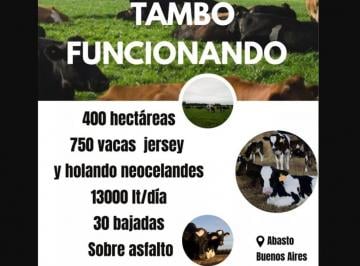 Fondo de comercio , Mercedes · Fondo de Comercio en Venta - Tambo y Fabrica de Lacteos - Mercedes