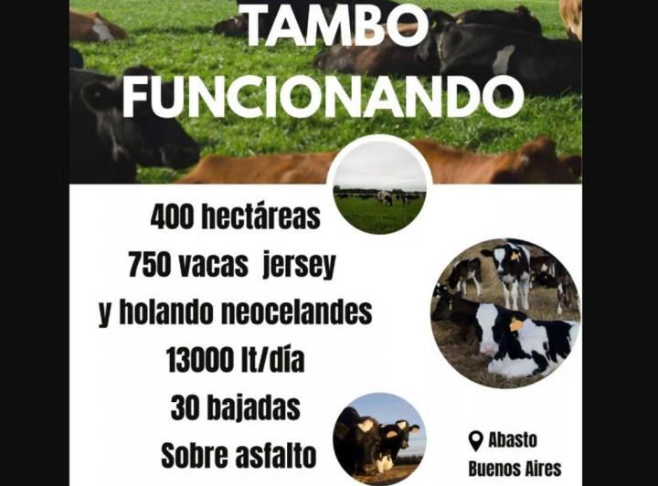 Fondo de comercio · 4000000m²