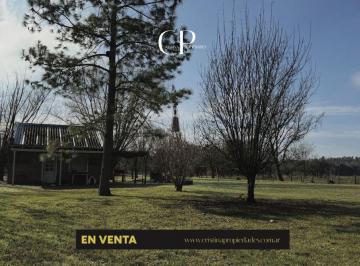 Campo , Mercedes · Chacra de 18has en Altamira con Añosa Arboleda.