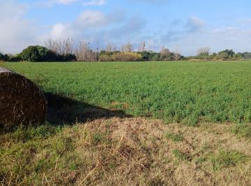 Terreno , Colonia Caroya · Hectarias a Vender