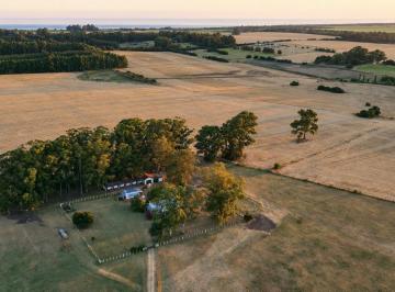 aerea de la casa · Chacra Campo en Riachuelo, Colonia