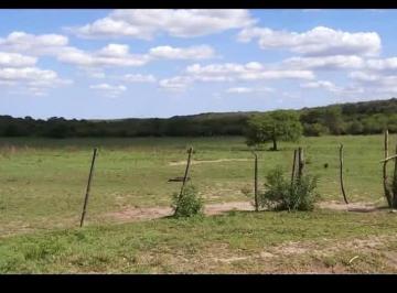 Terreno · 24000m² · Campo de 24 Hectáreas en La Granja con Vista Única y Gran Potencial de Inversión