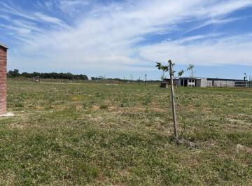 Terreno · 649m² · Lote en Venta en San Roque, Canning, Ezeiza