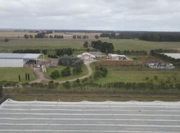 Imagen1 · Venta de Finca Productiva en Mar del Plata