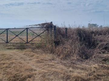 Campo · 493800m² · En Venta Excelente Campo Agrícola. 49,38 Has Las Tunas