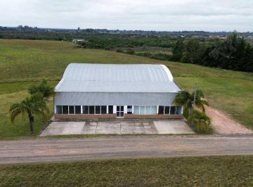 Bodega-Galpón · 721m² · Alquiler Comercial y Logístico Sobre Autovía 14 Concepcion del Uruguay