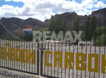 Campo · 13236ha · Estancia Cañadón Carbón – 13.236 Hectáreas