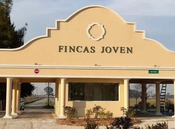 Terreno · 650m² · Terreno Fincas Joven San Vicente