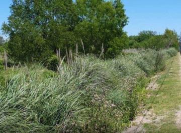 Terreno · 9m² · Terreno Fraccion en Venta Ubicado en Benavidez, Tigre, G. B. a. Zona Norte