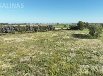 Campo · 45000ha · 4,5 Ha Chacra en Open Door