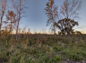 Terreno · 800m² · Venta. Lote 800 m². Molino Blanco. Exaltación de La Cruz