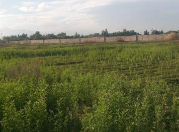 Terreno · 200m² · Lote en Venta