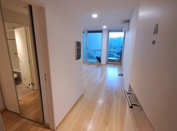 Departamento de 1 ambiente, Parque Chacabuco · Excelente Monoambiente en Muy Buen Edificio y Ubicación