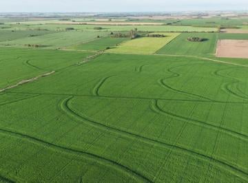 Campo , Capitán Sarmiento · Campo Agricola en Venta en Capitan Sarmiento. 340 Ha