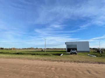 Bodega-Galpón , Saladillo · Galpón a Estrenar 240 m² Sobre 2.680 m² de Terreno – Apto Camiones
