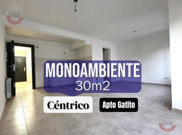 Departamento · 30m² · 1 Ambiente · Departamento Monoambiente en Alquiler. Apto Gatito