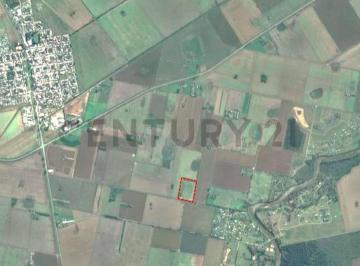Campo · 6m² · Campo Agrícola 6 Ha (60000 M&sup2;) - Maciel - Proximidad Ruta 11