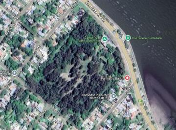 Terreno · Tres Lotes en Venta en Punta Lara