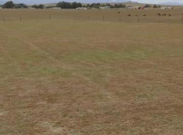 Terreno · 2000m² · Terreno en Venta - 2.000 m² - Tornquist