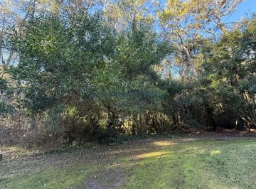 Terreno · 1196m² · Venta Lote en Carilo - Ref 3025