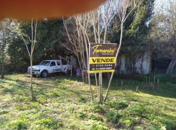 GSS-GSS-195_2 · Lote. | 9 de Julio, Av Al 100