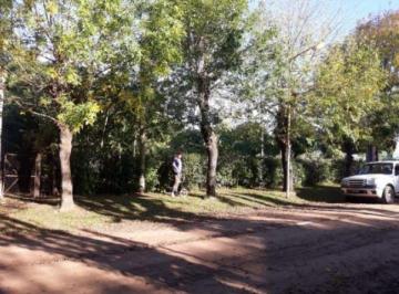 GSS-GSS-195_2 · Lote. | 9 de Julio, Av Al 100