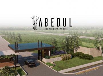 Terreno · 500m² · Lote en Venta Barrio Privado en Lujan de Cuyo